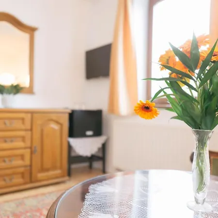 Bed & Breakfast Gizella 3*